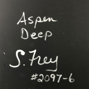 Aspen Deep 6/11 by Sabrina Frey 