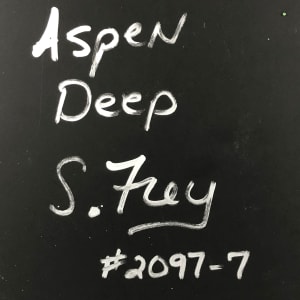 Aspen Deep 7/11 by Sabrina Frey 