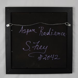 Aspen Radiance #7 by Sabrina Frey 