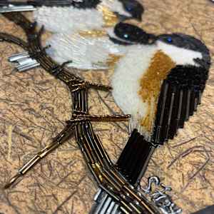 Chickadee Family by Sabrina Frey 