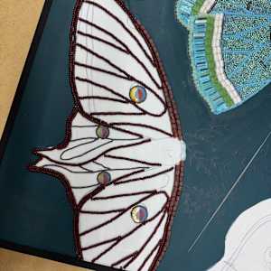 Whispered Moth Dreams by Sabrina Frey 