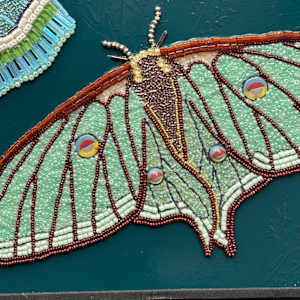 Whispered Moth Dreams by Sabrina Frey 