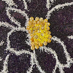 Frosted Dahlia by Sabrina Frey 