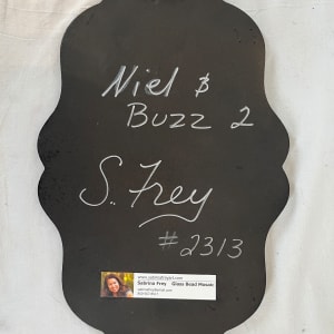 Neil & Buzz 02- Chickadee's by Sabrina Frey 