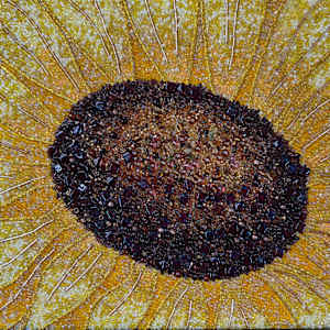Sunflower #29 by Sabrina Frey, Image 10.