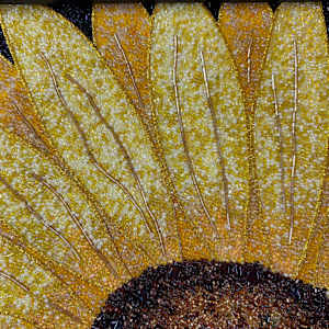 Sunflower #29 by Sabrina Frey, Image 4.