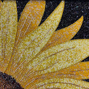 Sunflower #29 by Sabrina Frey, Image 8.