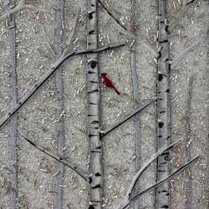 Winters Hope #16 by Sabrina Frey, Image 7.