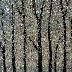 Whispering Woods 02 #2 by Sabrina Frey 