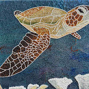 Underwater rainforest - Coral reef by Sabrina Frey 