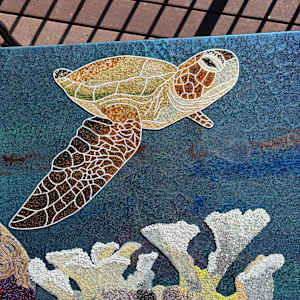 Underwater rainforest - Coral reef by Sabrina Frey 