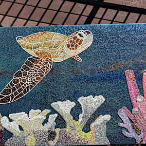 Underwater rainforest - Coral reef by Sabrina Frey 