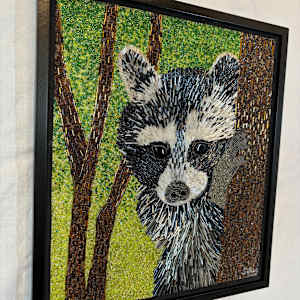 Peak a Boo - Raccoon by Sabrina Frey 