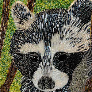 Peak a Boo - Raccoon by Sabrina Frey 