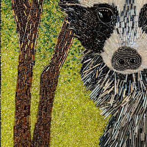 Peak a Boo - Raccoon by Sabrina Frey 