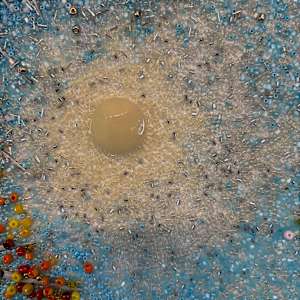 Season Delight #5 by Sabrina Frey 
