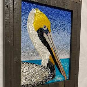 Jeffery - Pelican by Sabrina Frey 