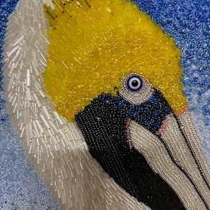 Jeffery - Pelican by Sabrina Frey 