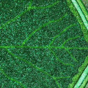 Aspen Radiance #7 by Sabrina Frey 