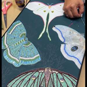 Whispered Moth Dreams by Sabrina Frey 