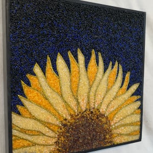 Sunflower #21 by Sabrina Frey 