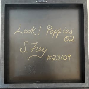LOOK! Poppies #2 by Sabrina Frey 