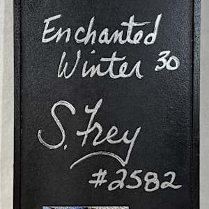 Enchanted Winter #30 by Sabrina Frey 