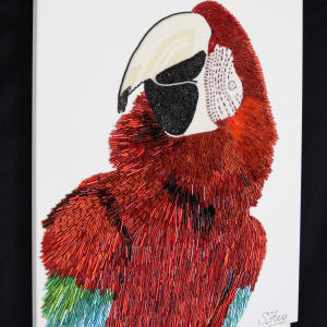 Rita - Macaw by Sabrina Frey 
