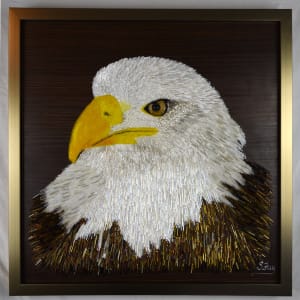 Spark - Bald Eagle by Sabrina Frey 