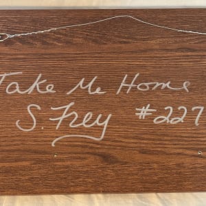 Take Me Home 01 by Sabrina Frey 