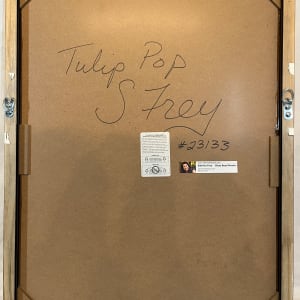 Tulip Pop by Sabrina Frey 