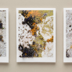 Triptych: Lichen by Kathy Mitchell-Garton