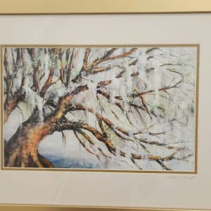 Ancient Oak by Susan Bryant