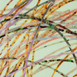 Tumbleweed by Hollie Heller 