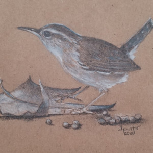 Wren 2 by Donna Pate