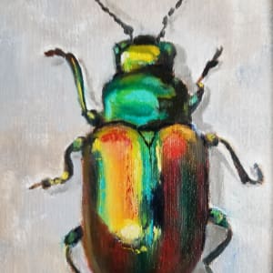 June Bug by Donna Pate