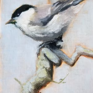 Chickadee by Donna Pate