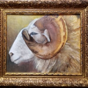 King of the Hill by Donna Pate