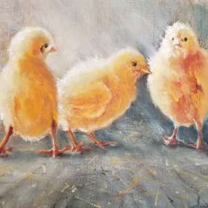 Chicks by Donna Pate