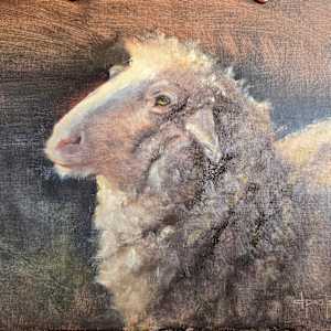 EWE by Donna Pate