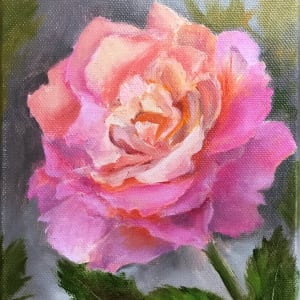 Pink Rose by Lina Ferrara
