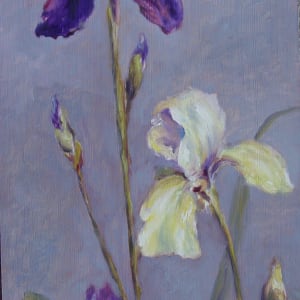 Irises by Lina Ferrara