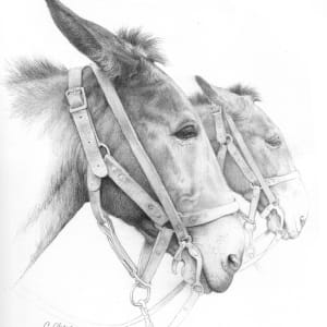 Dos Mules by Christine Obers