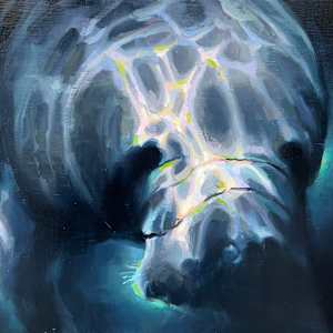 An Unassuming Presence by Joyful Kohola, Image 1.