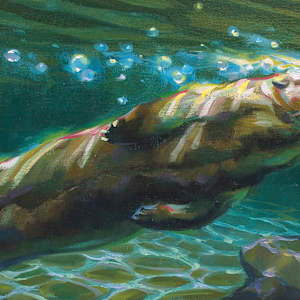 The Bubblemaker by Joyful Ward, Image 1.
