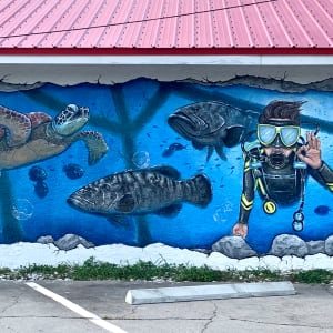 Panama City Diving Mural