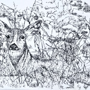 Deer in the Woods by Wanda Fraser