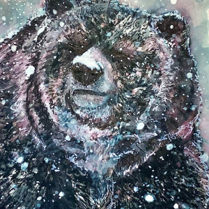 Snowy Day - Canadian Grizzly by Wanda Fraser