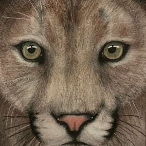 Cougar - Portrait by Wanda Fraser