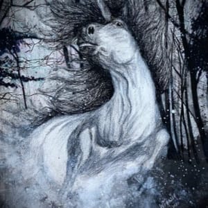 Unicorn by Wanda Fraser